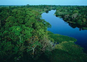 巴西热带雨林旅游景点介绍
