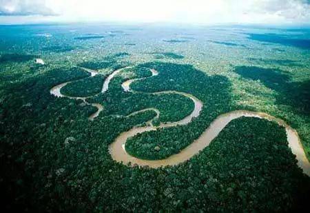 巴西热带雨林分布在哪