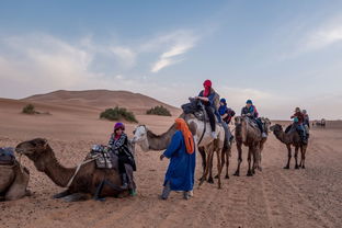 大沙漠骑骆驼怎么骑