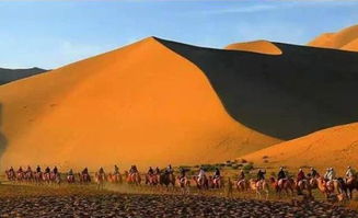 穿越沙漠的奇幻之旅：体验无尽的美丽与神秘