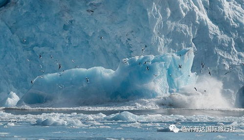 北极科考旅行团参与方法，勇闯极地，探索未知的神秘之旅