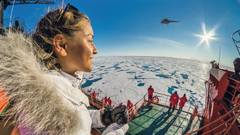 北极科考旅行团参与方法，北极科考旅行团，开启神秘之旅！