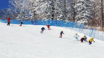 畅游欧洲冬季滑雪胜地，尽享冰雪盛宴！