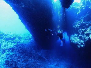 潜水旅行保险必知：保障你的水下探险之旅