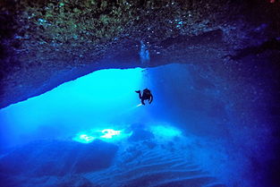 夜潜体验与安全须知：探索水下神秘世界的必备攻略