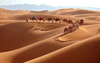 穿越沙漠的奇幻之旅：体验别样的风光与文化