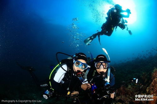 马尔代夫潜水之旅：探寻水下世界的无尽魅力