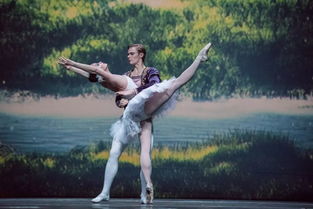 俄罗斯芭蕾舞：璀璨的艺术明珠，跨越时代的华美之旅