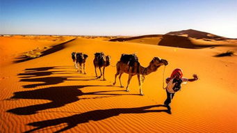 撒哈拉沙漠越野车探险：无尽的挑战与无尽的美丽