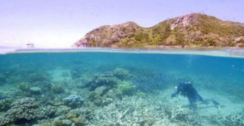 澳大利亚大堡礁海洋公园：自然奇观与环境保护的典范