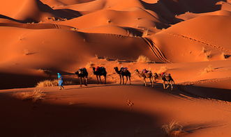 撒哈拉大沙漠探险之旅