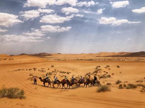 沙漠旅游路线